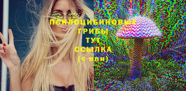mdpv Богданович