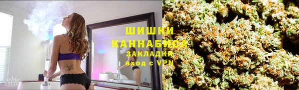 индика Бородино